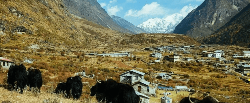 langtang history