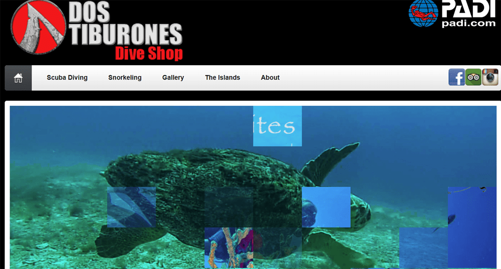 Dos Tiburones Dive Shop