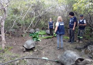 Galapagos Conservation in Ecuador - Over 20,000 Happy Volunteers since 2003