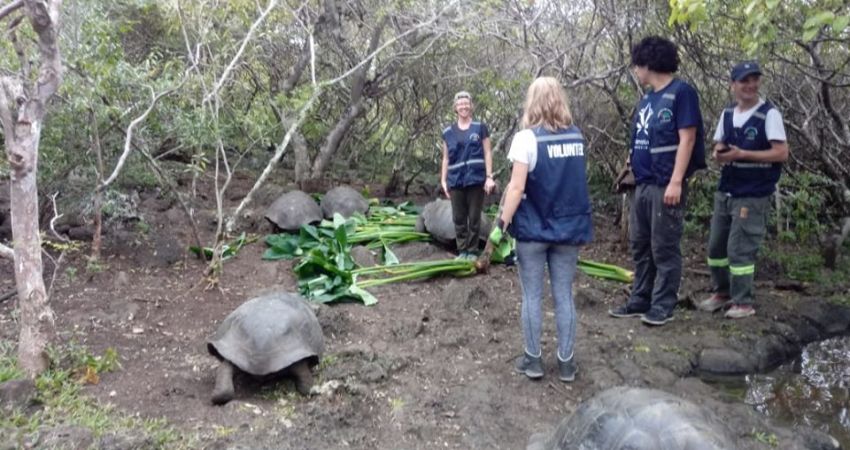 Galapagos Conservation in Ecuador - Over 20,000 Happy Volunteers since 2003