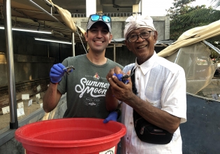 Turtle Conservation in Bali - Over 20,000 Happy Volunteers since 2003