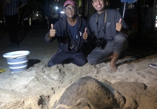 Teaching English & Turtle Conservation Combo in Bali - Over 20,000 Happy Volunteers since 2003