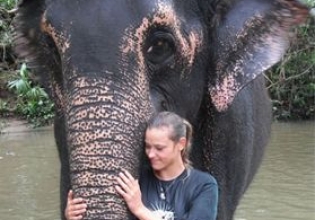 Elephant Conservation in Sri Lanka - Over 20,000 Happy Volunteers since 2003