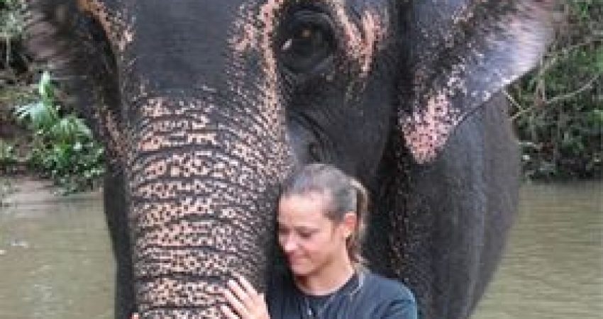 Elephant Conservation in Sri Lanka - Over 20,000 Happy Volunteers since 2003