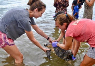 Sea Turtle Conservation Mexico-Over 22000 Happy Volunteers Since 2006