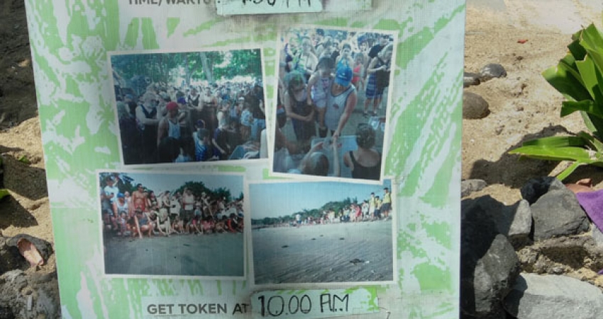 Turtle Conservation Volunteer Bali-Trusted By 18000 Volunteers Since 1998