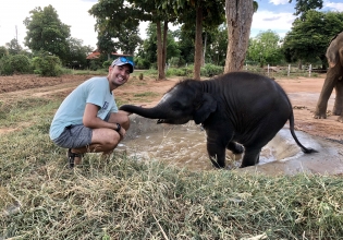 Elephant Support Internship in Thailand- Lowest Fees & Trusted since 2003