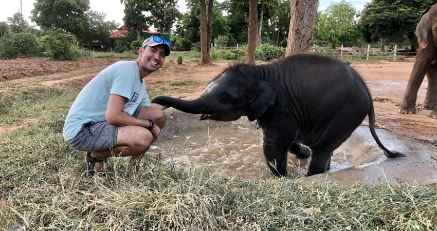 Elephant Support Internship in Thailand- Lowest Fees & Trusted since 2003