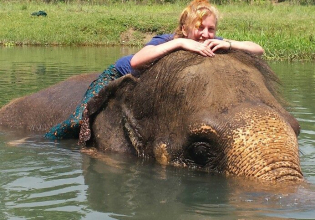 Elephant Hug and Care Program