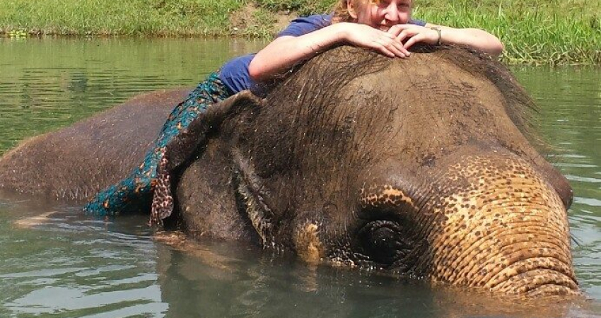 Elephant Hug and Care Program