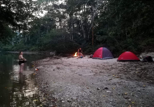 Biodiversity Research in the Amazon Rainforest