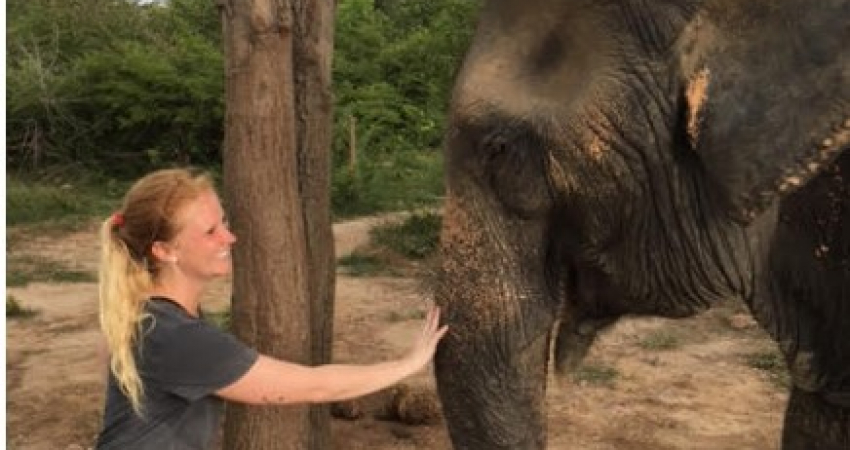 Elephant Rescue in Thailand