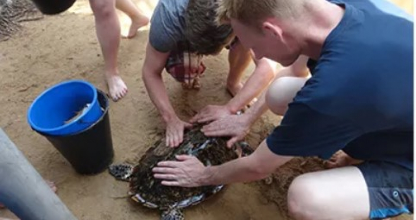 The Great Turtle Project, Sri Lanka