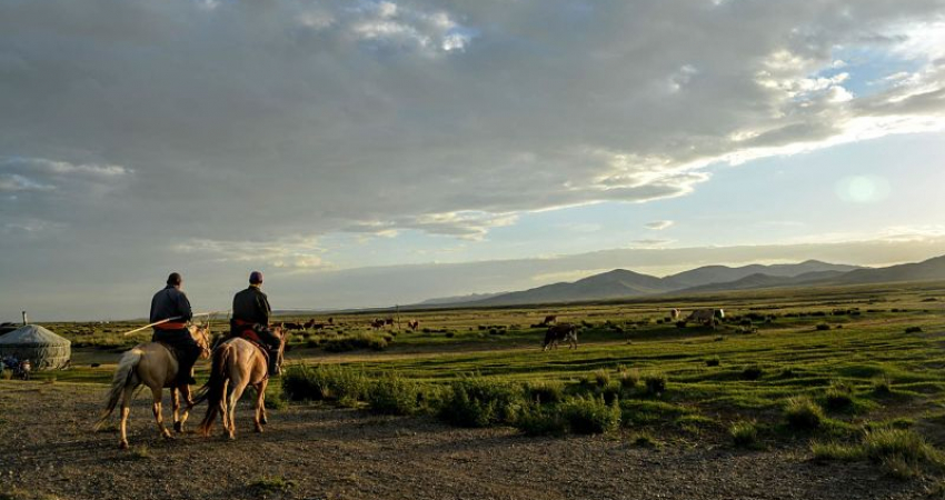 Experience Nomadic Culture with Comfortable Yurt