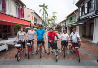 Total Singapore Tour: Sightseeing & Cycling in Singapore