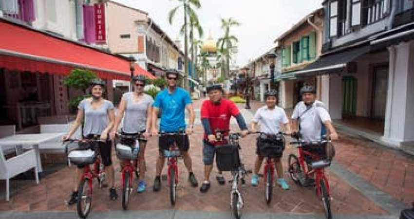 Total Singapore Tour: Sightseeing & Cycling in Singapore