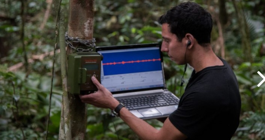 Ecological Volunteer in Tropical Forest of Brazil