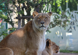 Mefou National Park