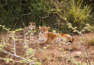 3 Days 2 Nights Maputo Special Reserve