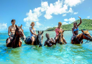 Horseback Ride 'n' Swim in St. Lucia