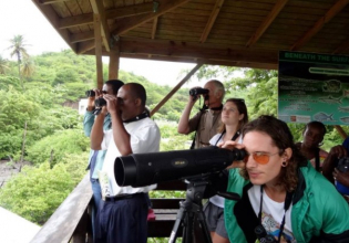 GRENADA BIRD WATCHING TOUR