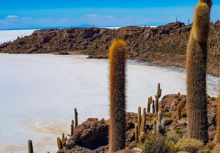 Uyuni Salt Flats Full Day  Shared Service