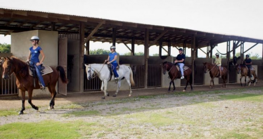 Horseback Riding Adventure Tour