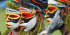 Papua New Guinea National Mask Festival