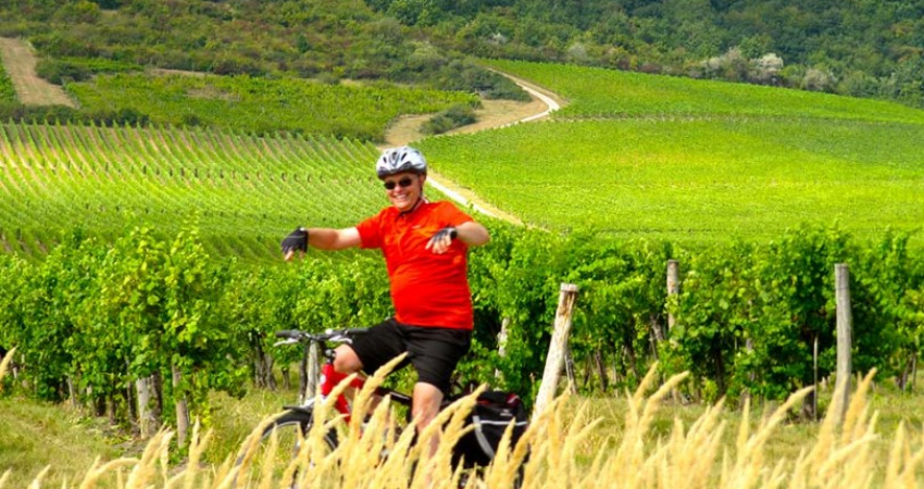 Cycling tours in Hungary - Castles and wines in northern Hungary