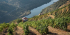 Douro Valley: Premium & Private Tour