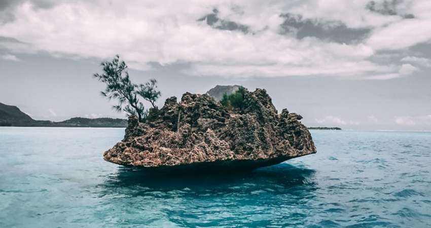 Private Boat Tour to Praslin and Cousin Island