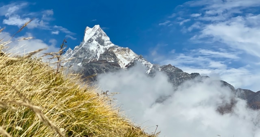 Mardi Himal Trek