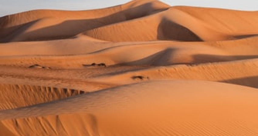 Half Day Desert Safari, Camel Ride, Sand Boarding, inland Sea Visit