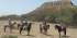 Volunteering/Farmwork on a horse farm in  Peru