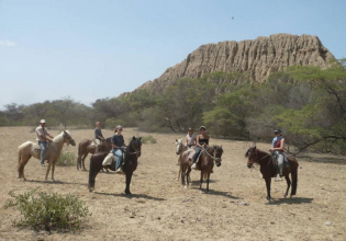 Volunteering/Farmwork on a horse farm in  Peru