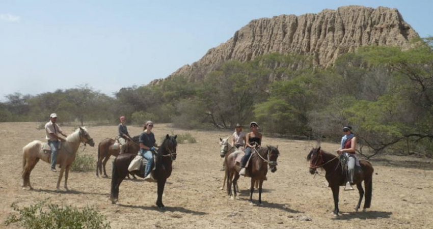 Volunteering/Farmwork on a horse farm in  Peru