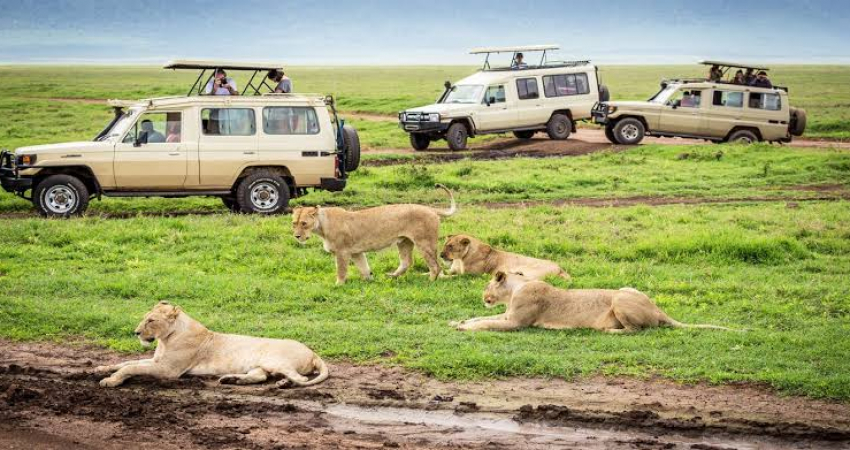 Murchison falls National park safari 3 days 2 nights