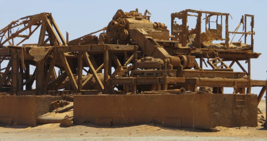 Skeleton Coast, Shipwreck, Cape Cross and Giant Welwitschia Tour