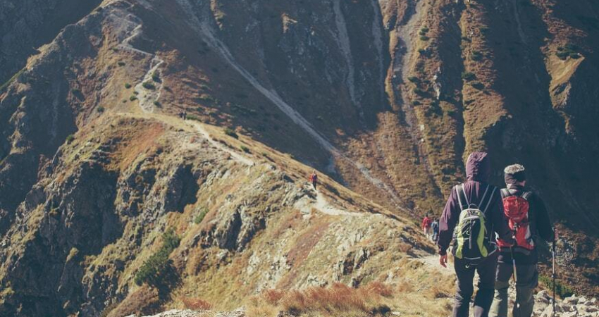 13 Days Rwenzori mountain trekking tour and Seeing Lions in Queen Elizabeth Park.