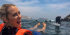 Swim with sealions on Palomino Islands in Lima Peru