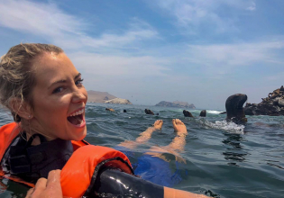 Swim with sealions on Palomino Islands in Lima Peru