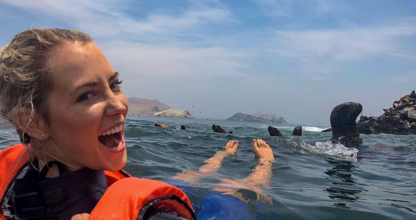 Swim with sealions on Palomino Islands in Lima Peru