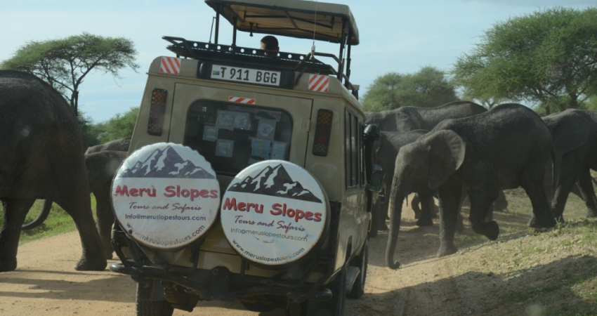 4 Days Tarangire, Serengeti and Ngorongoro Crater Joining Group