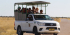 Safari In Etosha National Park With Yavola Tours