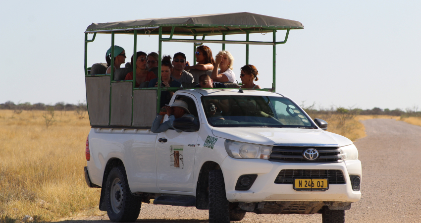 Safari In Etosha National Park With Yavola Tours