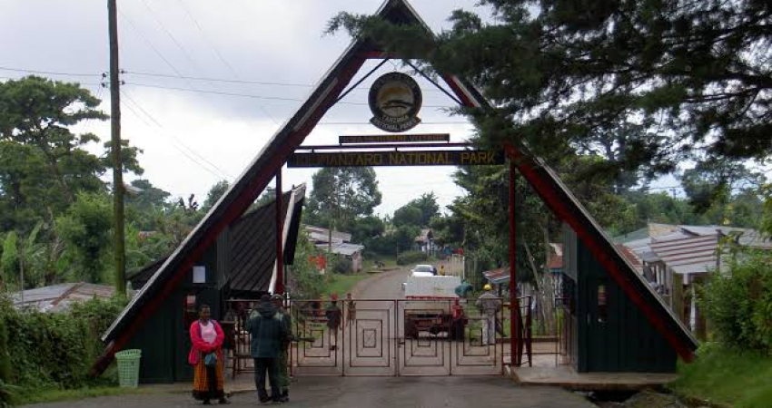 1 - Day Trip to Hike Mountain Kilimanjaro