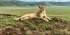 2 Days (One Night Safari in Tarangire NP and Ngorongoro Crater)