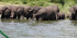 3 Day Queen Elizabeth National Park Tour