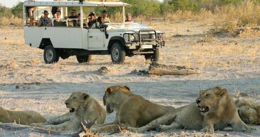 CHOBE FULL DAY TRIP IN BOTSWANA