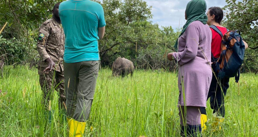 Rhino Tracking Tour to Ziwa Rhino Sanctuary